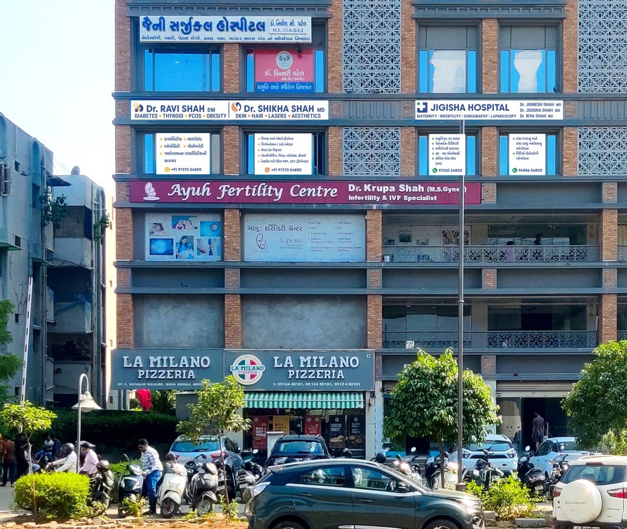 Gallery Img 17